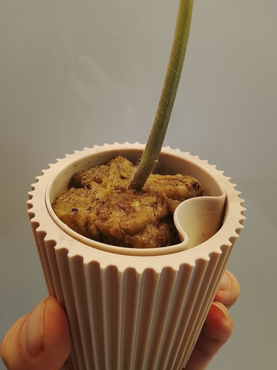 Planter Pod - Ribbed (Small)