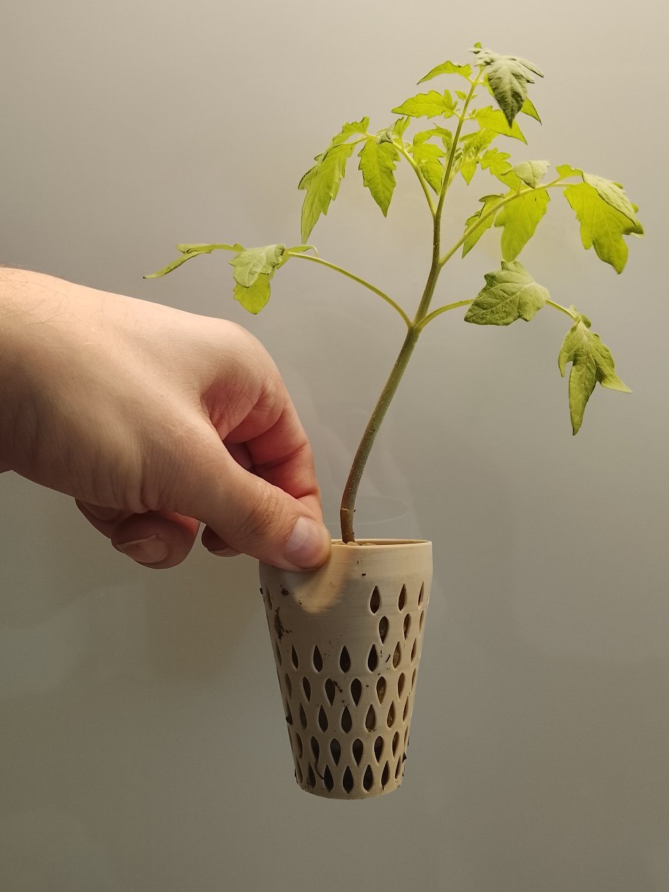 Planter Pod - Ribbed (Small)